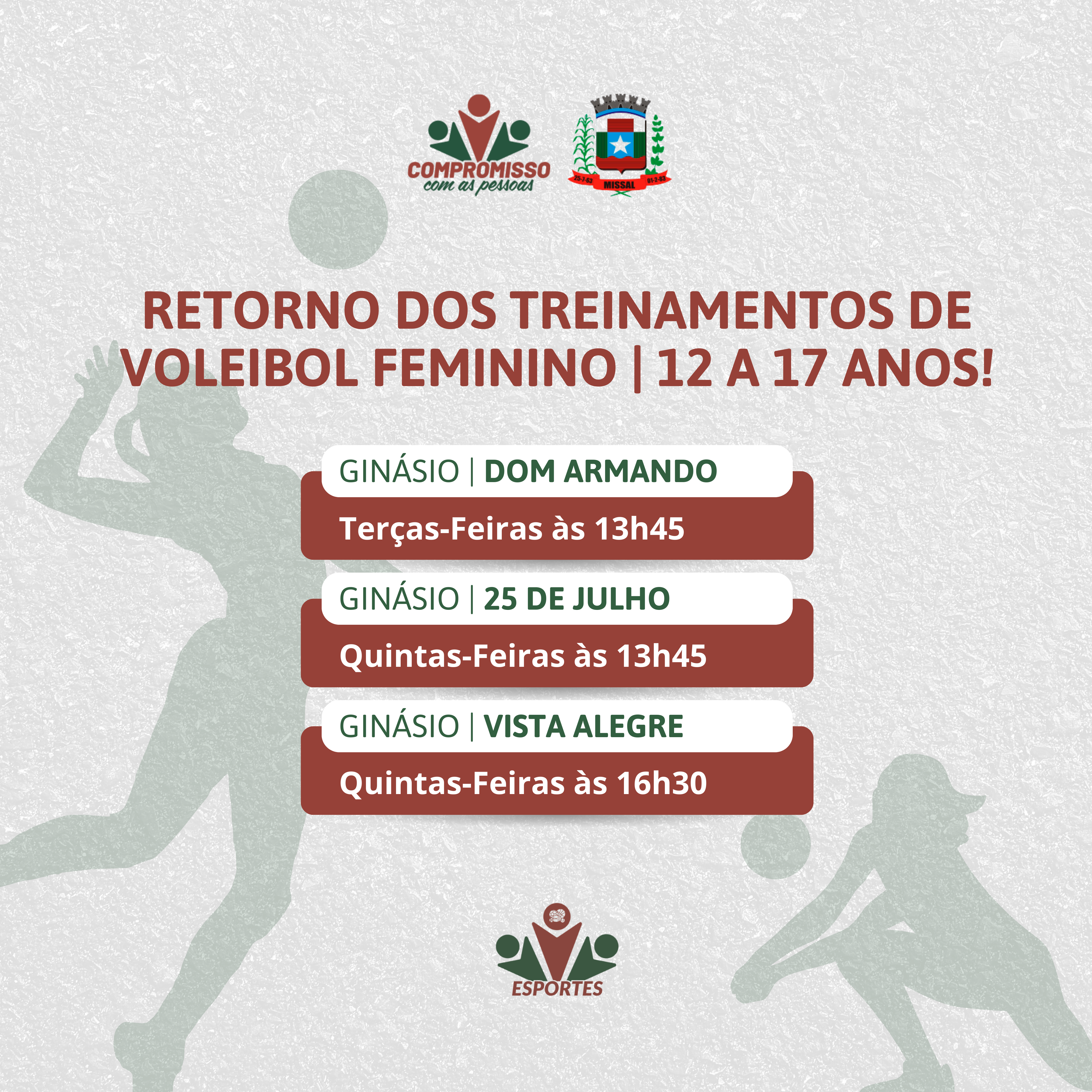 Escolinha de Voleibol feminino será retomada em Missal